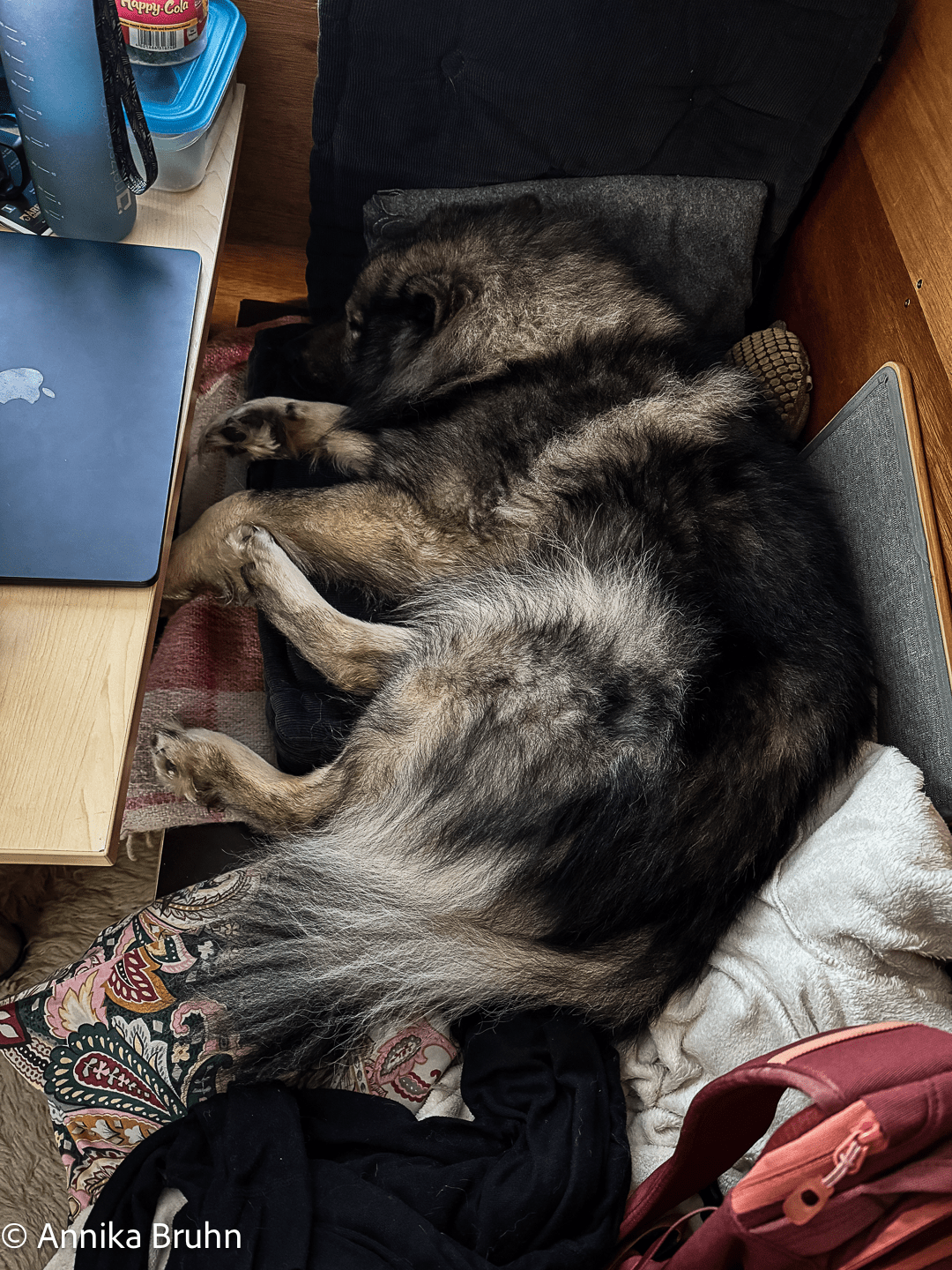 Qs Schlafplatz auf der Bank